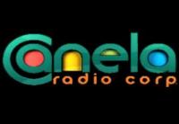 logo radio canela 90 5 fm en vivo online guayaquil ecuador